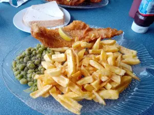 Dolphin Cafe