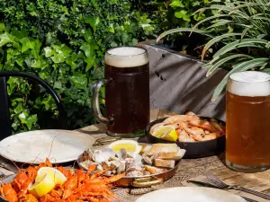 Beer Academy