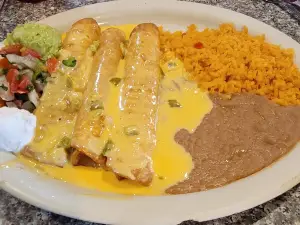 El Potrillo Tex Mex Food
