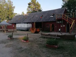 Melnsila Krogs