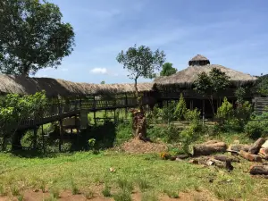 Cafe Hay Shack