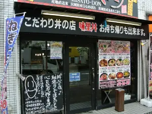 Misatodon