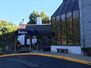 Kiku