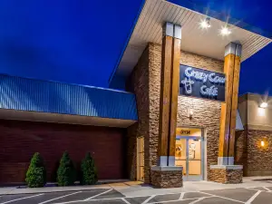Crazy Cow Café