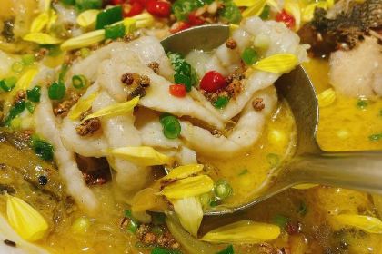 Chengdu Girl Chinese Sauerkraut Fish