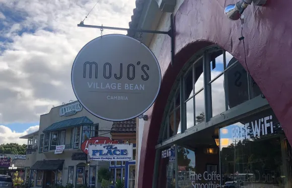 Mojos Village Bean