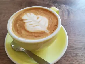 Nexus Coffee Company