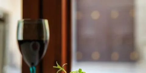 Arugula