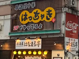 Hatchaki