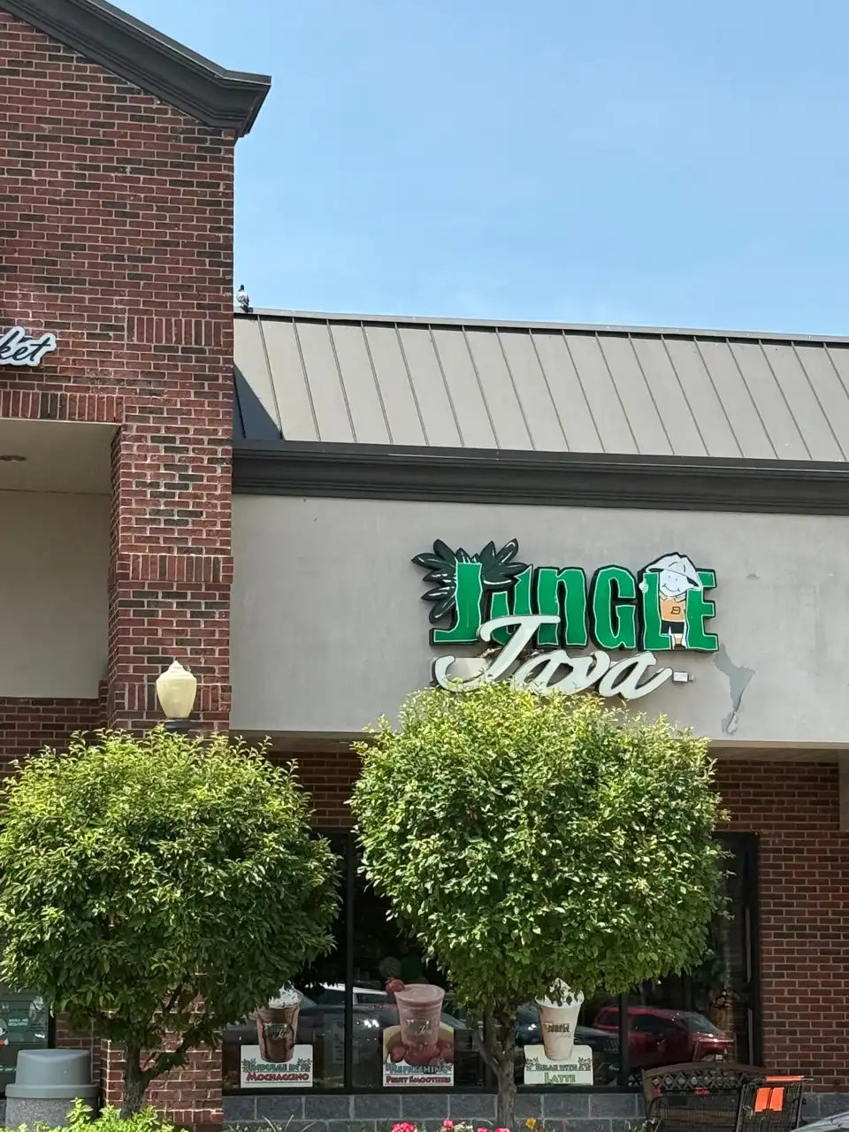 Jungle Java