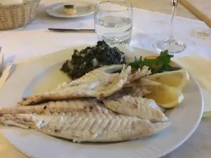 Balkan-Gril'