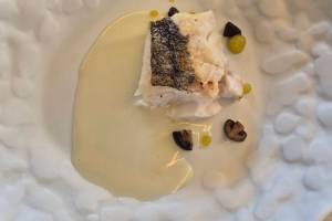 Skate Fish
