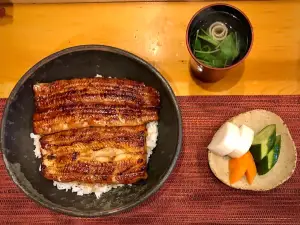 Unagi Nishihara