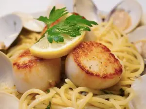 Cipollina