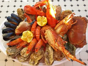 Occitanie Coquillages