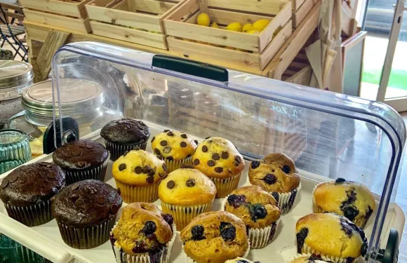 Izzy's Market - Vegetarian Boutique