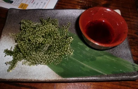 あぐーの隠れ家 総本店