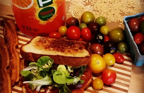 Timmy's Brown Bag