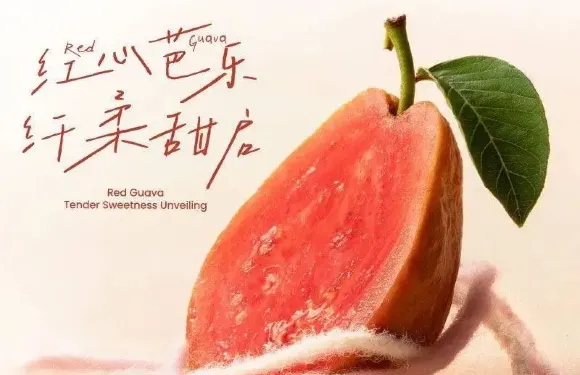 奈雪的茶（龍巖新羅萬達廣場店）