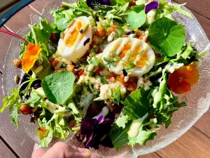 Saint Tropez Bistro