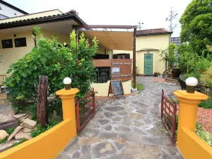 Spanish Cuisine Girasol