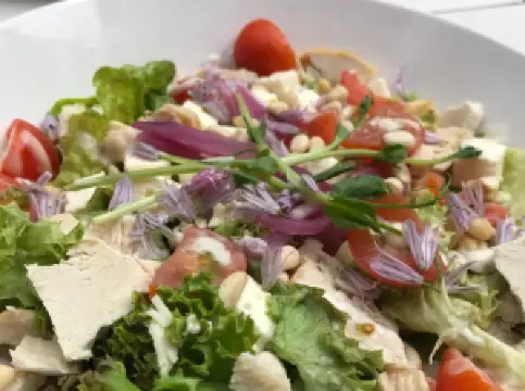 Bare Barista Coffeshop