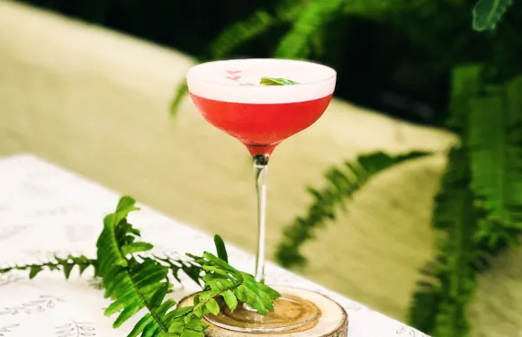 Moso garden - Cocktail bar
