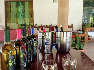 Viña Tx