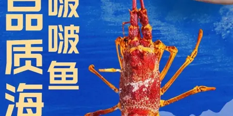 喵主魚僕啵啵魚