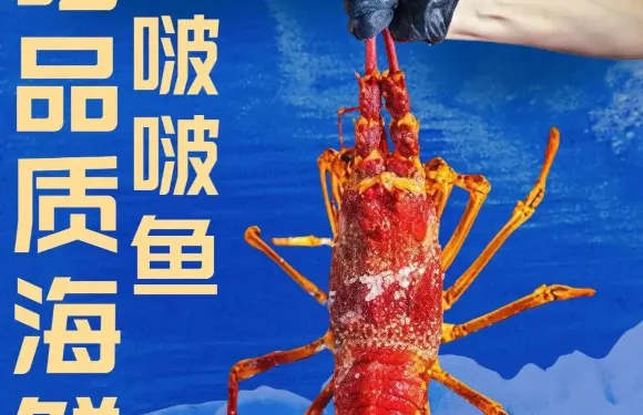 喵主魚僕啵啵魚
