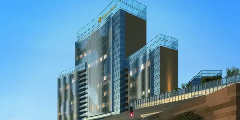 恒旭國際大酒店·盛宴海鮮自助餐
