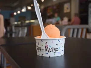 Sylas and Maddy's Homemade Ice Cream