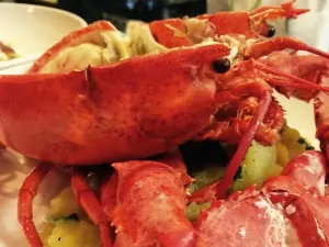 Kipos Greek Taverna