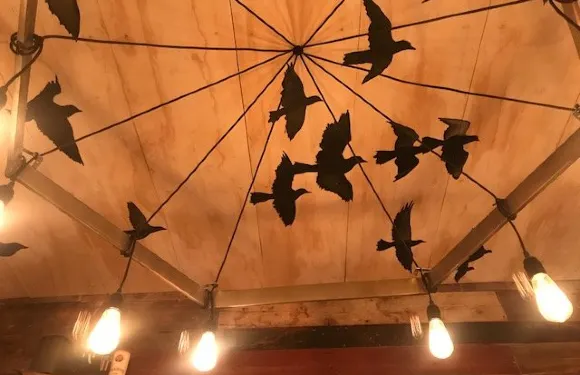 Bushel & Bee Taproom