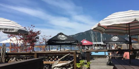 Original Udder Guy's Ice Cream and Candy