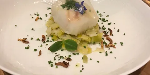 Maison Minori