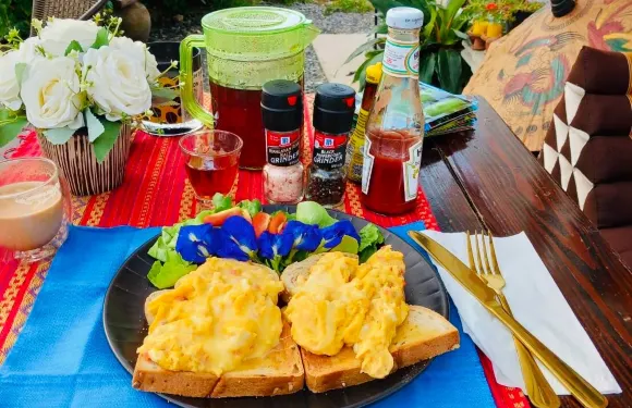 The Nowhere Art Cafe & Farmstay