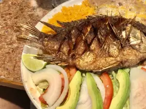 Fiesta Vallarta
