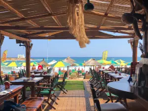 Dolphin Beach Bar
