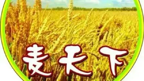麦天下·水晶饺(水东店) in Maoming