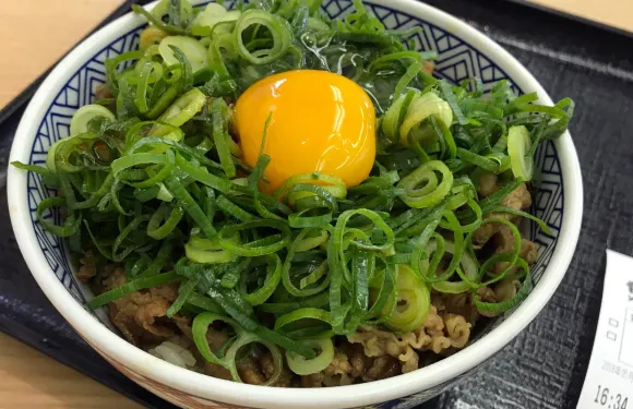 Yoshinoya Kurume City Hall
