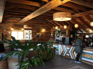 Snowy Owl Coffee House & The Night Owl
