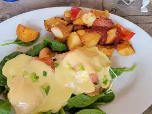 Hollywood Beach Cafe