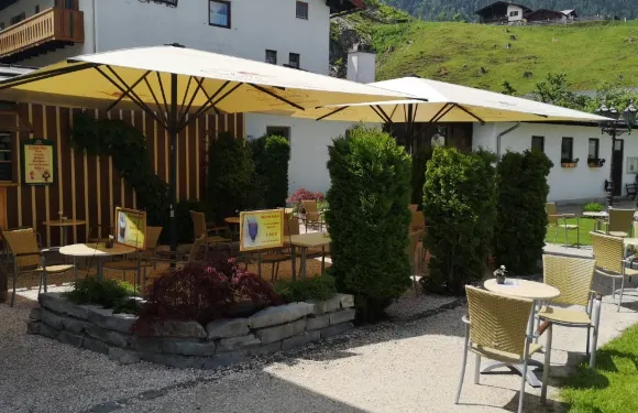 Café Calvis