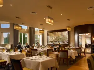 The Ivy