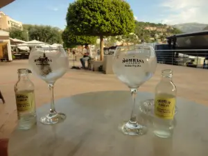 Bar Albatros
