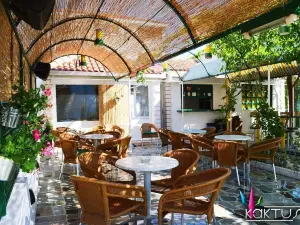 Caffe Bar - Pizzeria KAKTUS