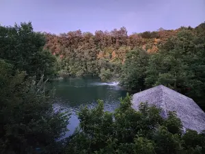 Restaurant and Rooms Zeleni kut