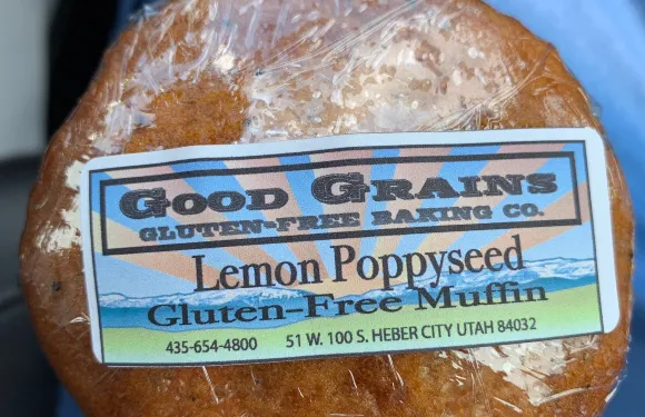 Good Grains Gluten-Free Baking Co.