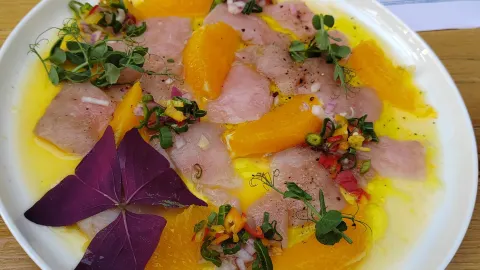 Restaurant Volat in 브렐라